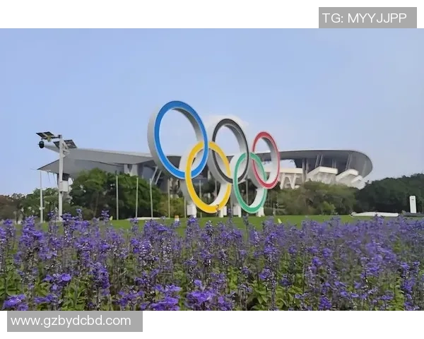 广州排球队耐力问题引发热议球迷与专家各执己见探讨真相