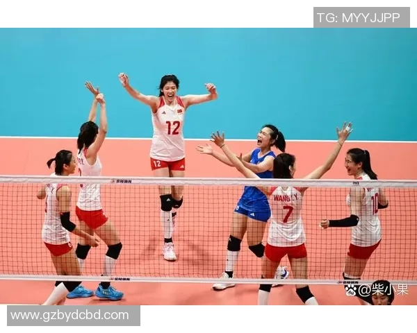 武汉排球队的崛起与发展探秘排球运动的力量与激情